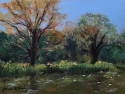 as-seasons-change_med