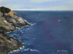 black-head-monhegan-island_med-2