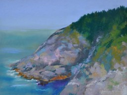 blackhead-ii-monhegan-islan_med