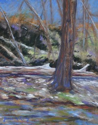 canyon-tree-fall_med