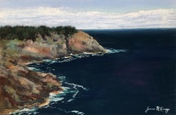cliff-view-of-blackhead_med