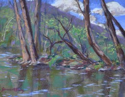 dales-ridge-view-from-buffa_med