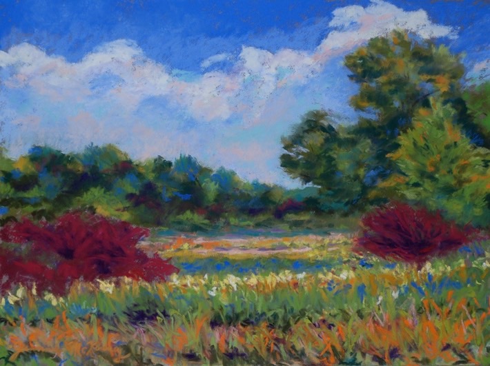 millbrook-marsh-view_med