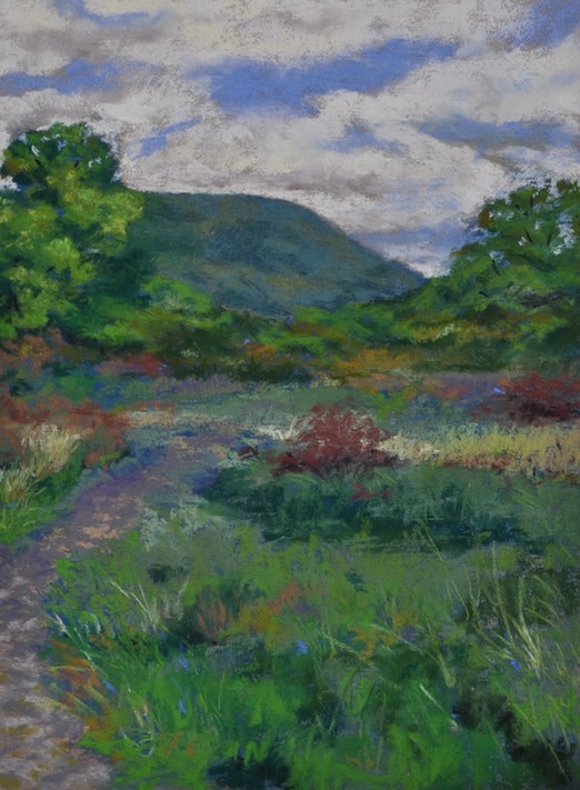 mount-nittany-vista-from_med