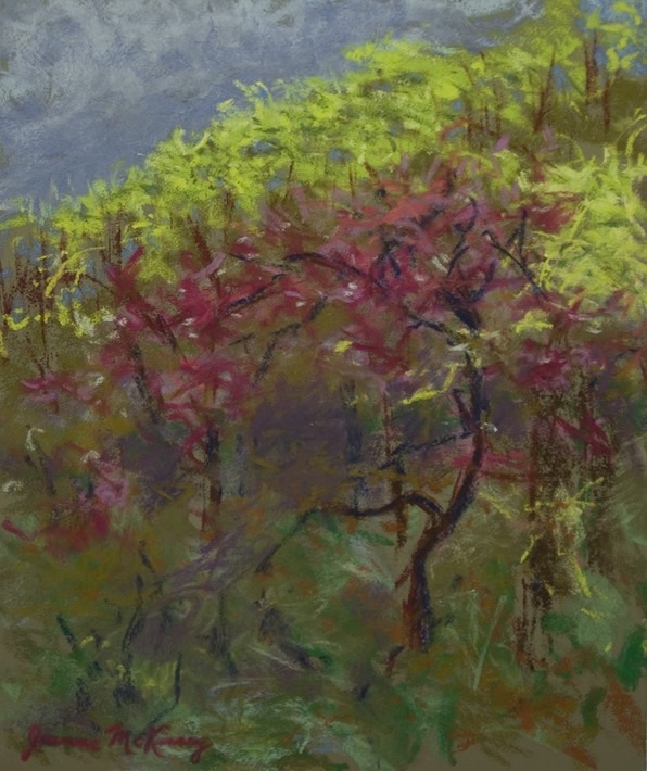 mountainside-redbuds_med