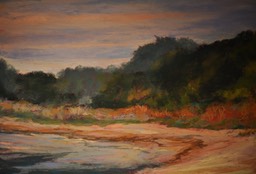 odiorne-point-cove_med