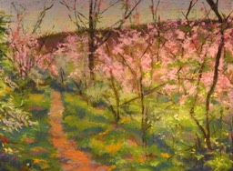 redbud-trail-at-canoe-creek_med