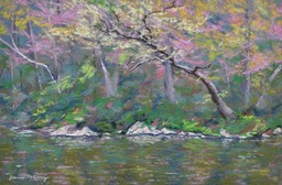 reflections-on-the-little_med