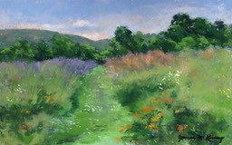 Rhoneymeade Native Plant Meadow