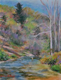 spring-creek-angler_med